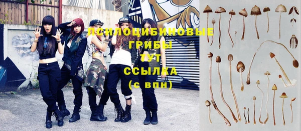 тгк Богданович