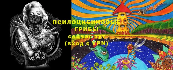сатива Богородицк