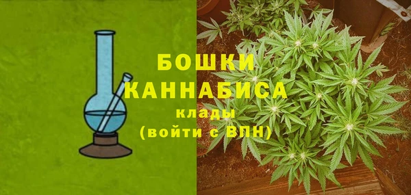 тгк Богданович