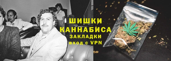 сатива Богородицк