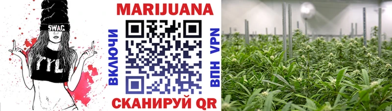 Канабис планчик Донецк